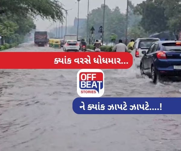 ગુજરાતમાં મેઘરાજાની ધમધોકાર બેટિંગ